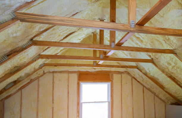Best Eco-Friendly Insulation in USA